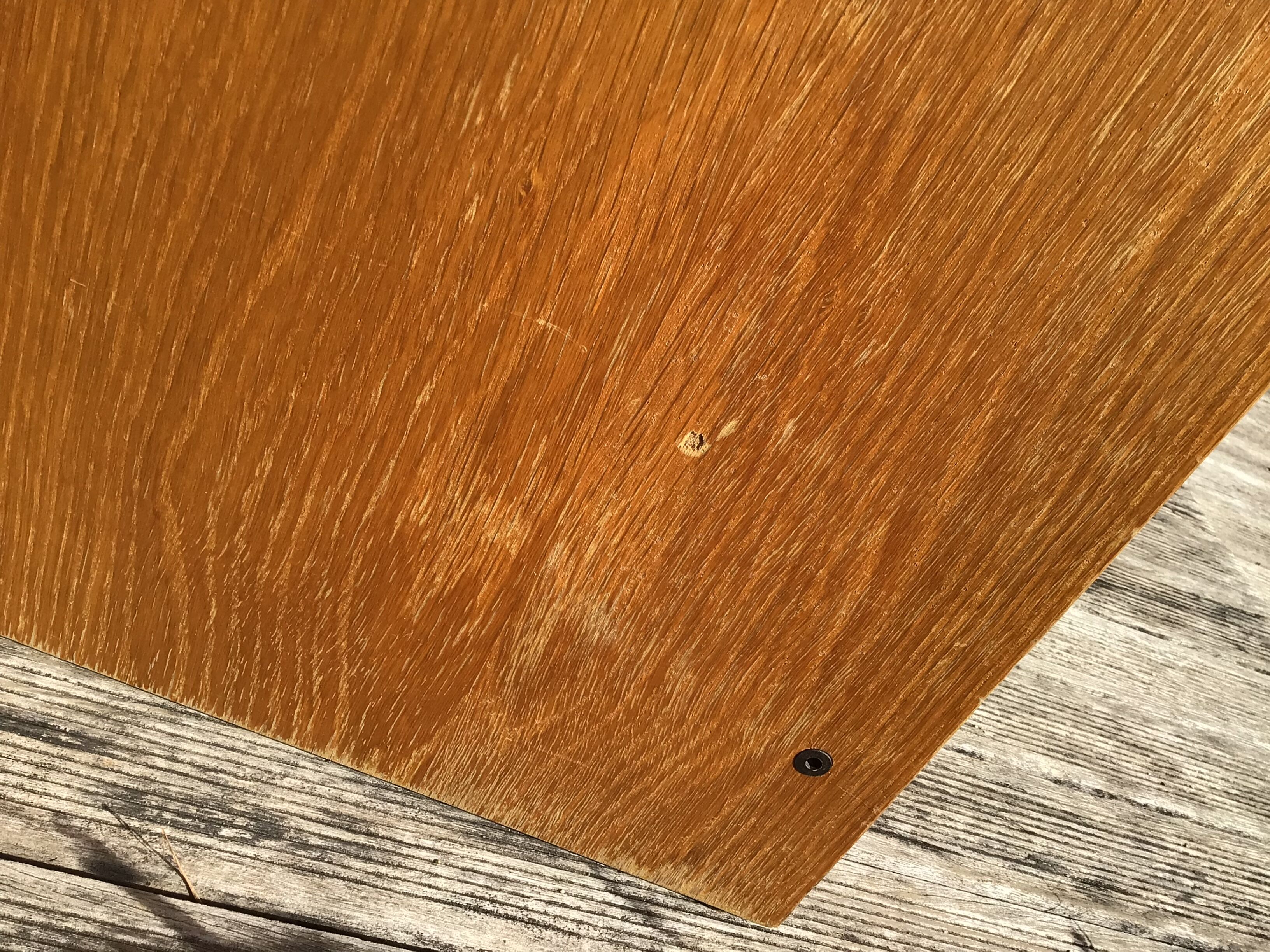 Curtain binder veneer gilded oak height 121cm