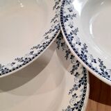 Hollow plates Terre de Fer