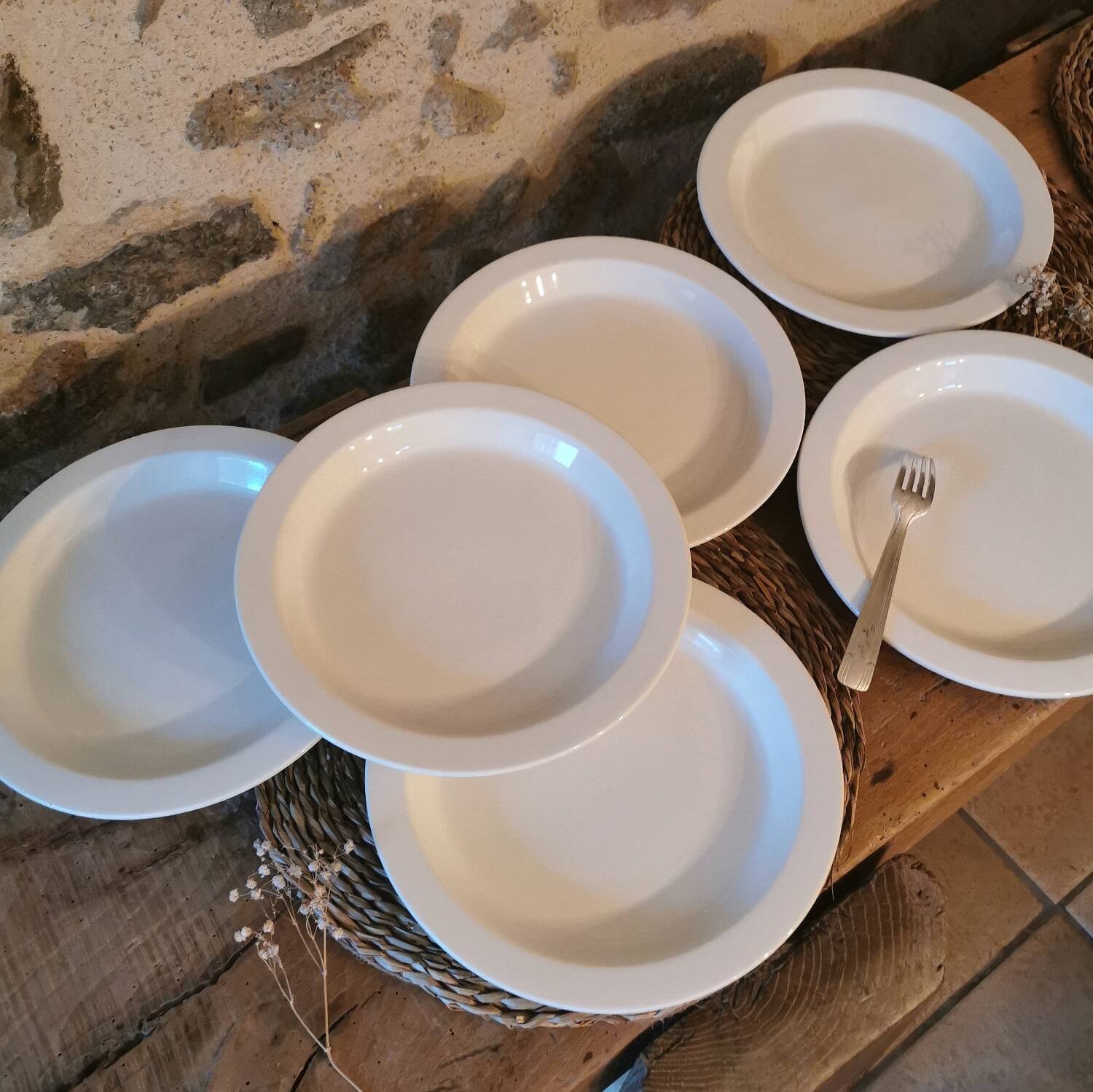 Vintage nesting dinner plates by Michel Hamon, Gien Prisunic