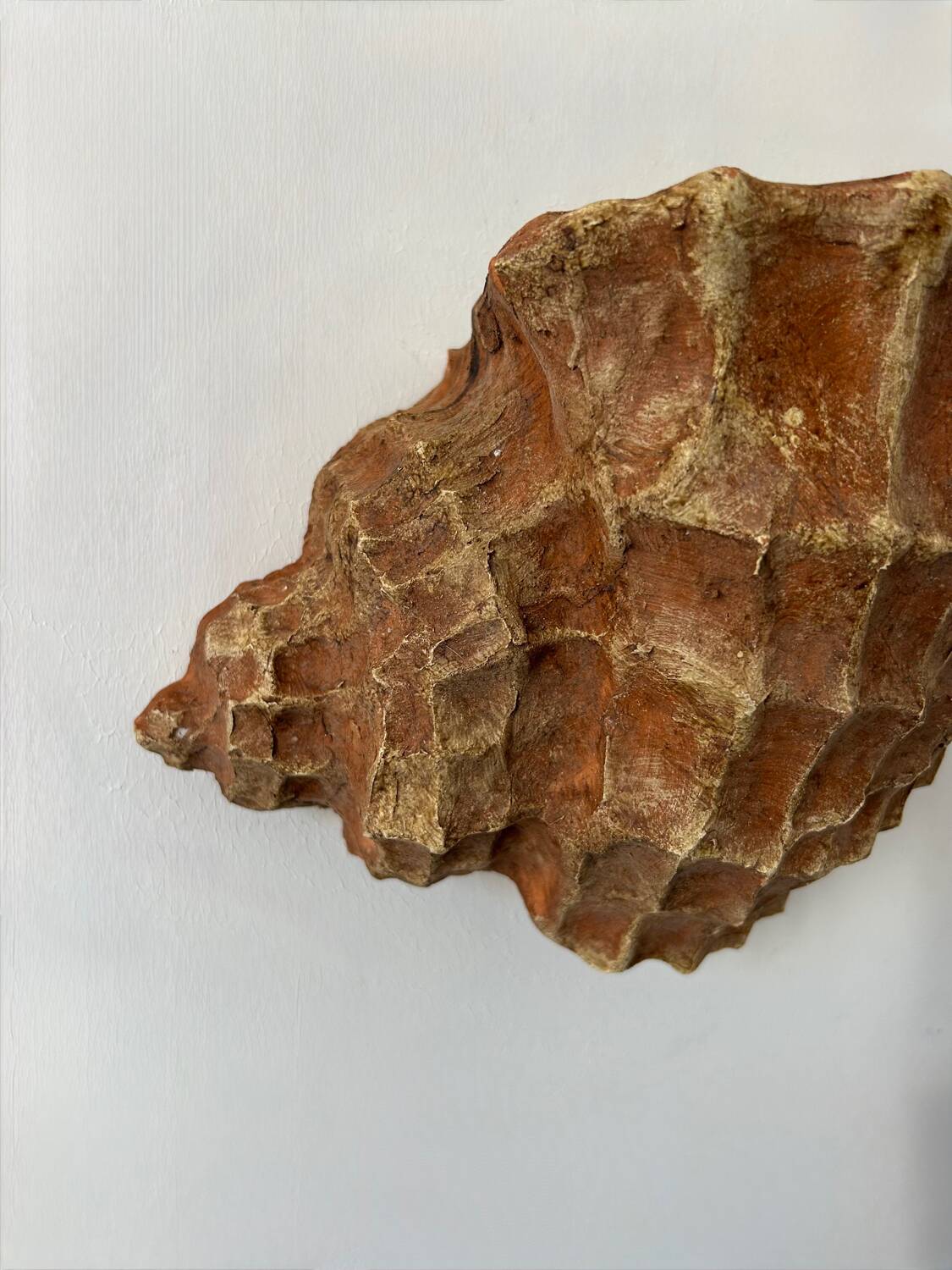 Pair of vintage terracotta shell wall lights