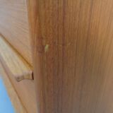 Danish Teak Chest of Drawers from Gasvig Møbler, 1960s