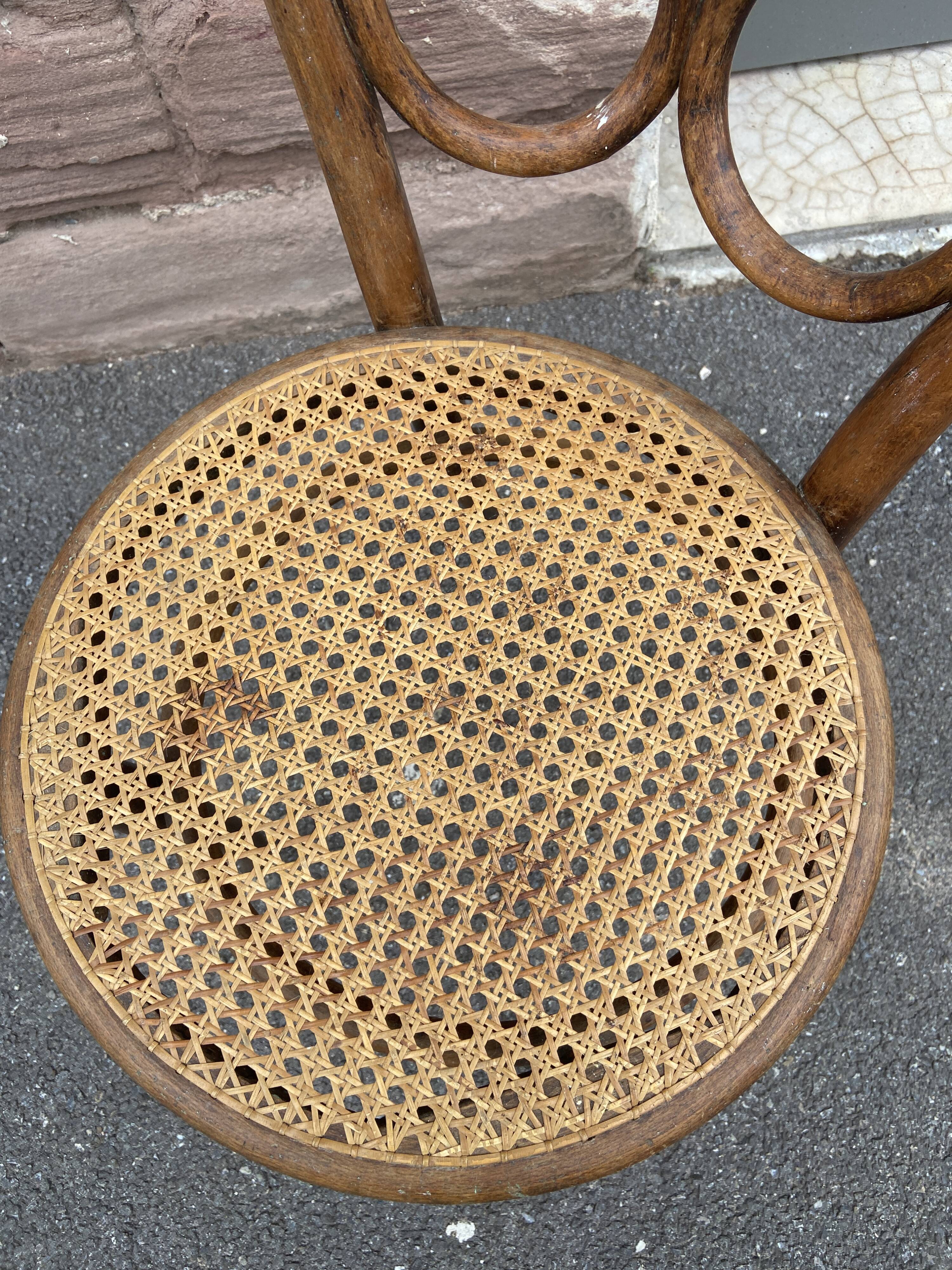 Canine bistro chair Thonet Nr 20 Omega