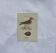 Botanical Plate Engraving of Birds, Naturalist, 19th Century, Double-sided A