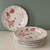 Assiette Haviland, Limoges, Roses de France