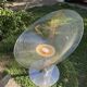 Transparent swivel armchair "Eros" by Philippe Starck for Kartell