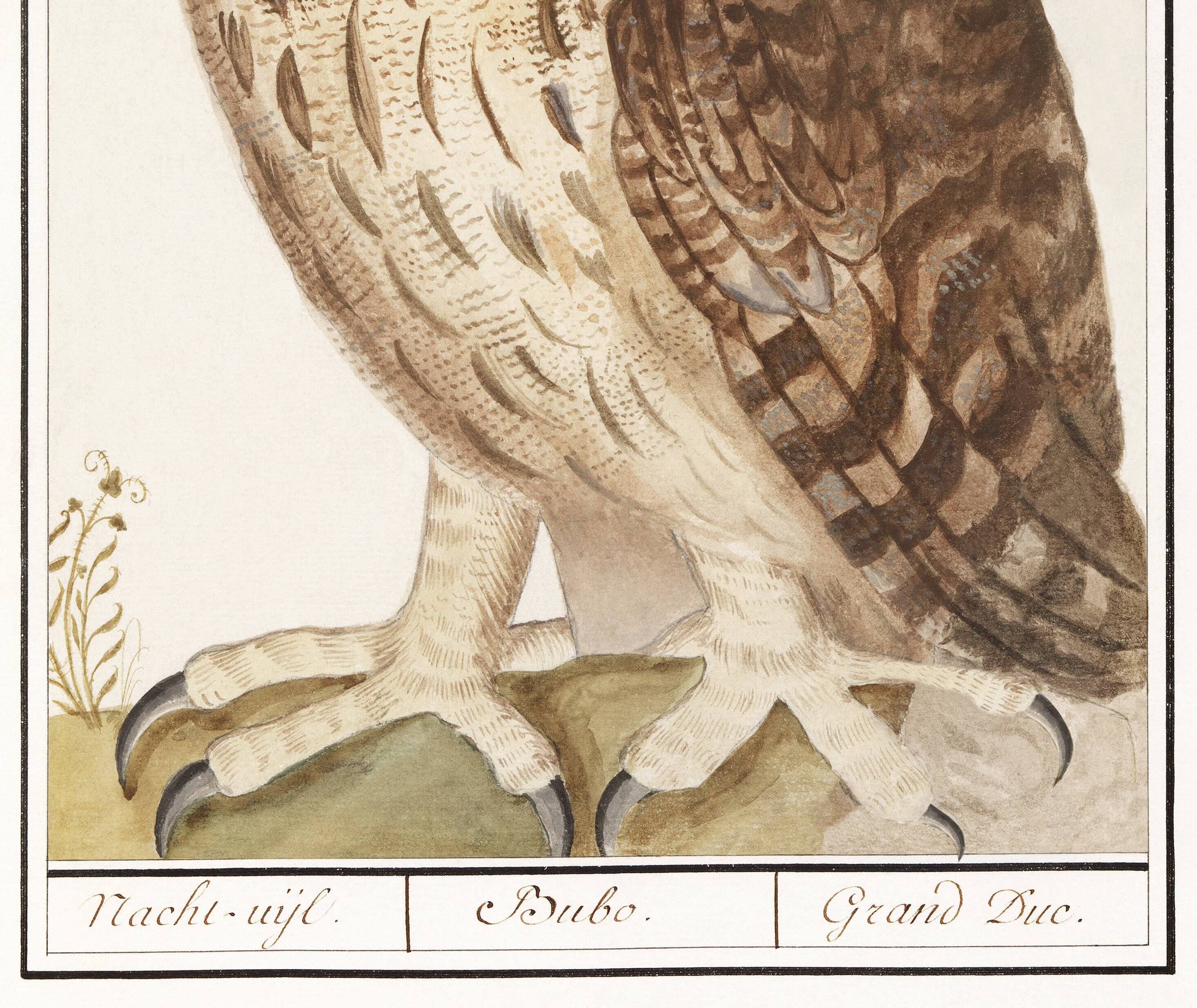 Small poster about the Grand Duke, after an old engraving from 1610.