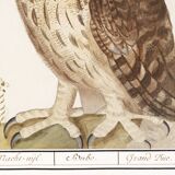 Small poster about the Grand Duke, after an old engraving from 1610.