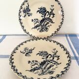 Flat plates Gien thistles