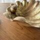 Immense wooden plate 1900 shell with golden patina