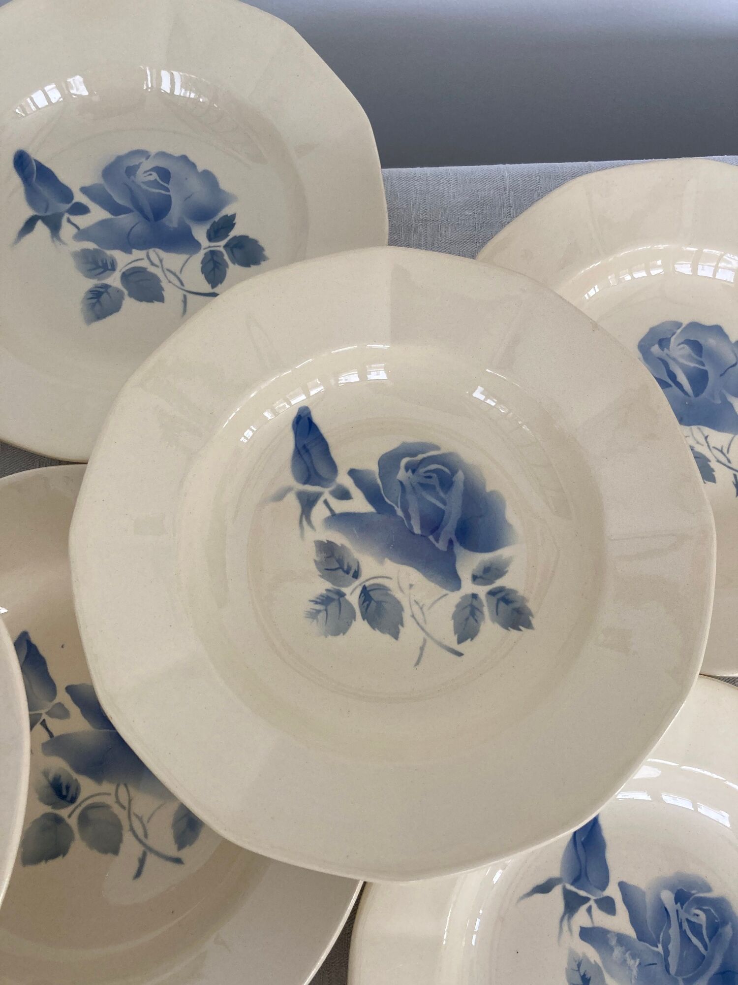 Set of 9 hollow plates Blue Roses Digoin Sarreguemines