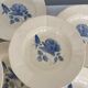 Set of 9 hollow plates Blue Roses Digoin Sarreguemines