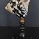 Cabinet of Curiosities shell cittarium pica on base