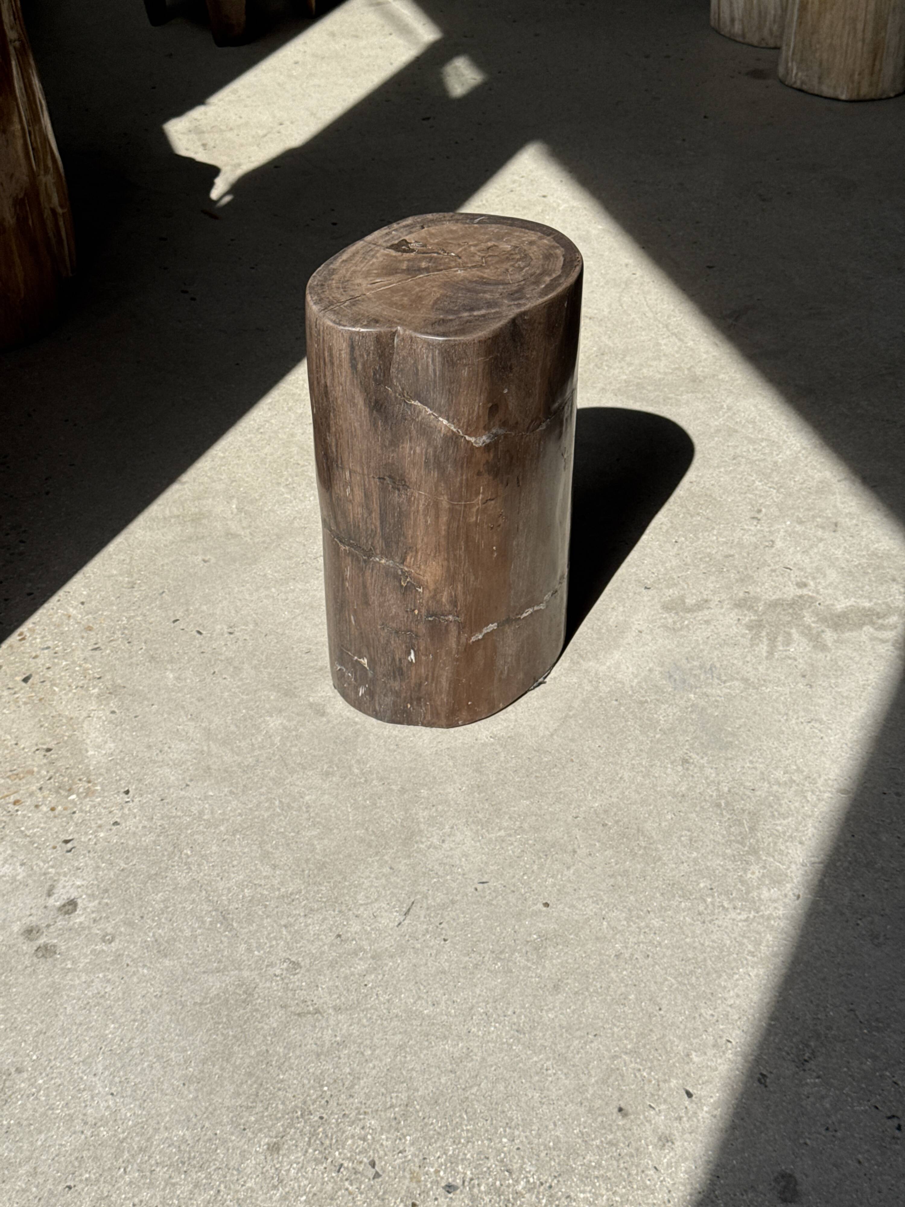 Table d'appoint en bois pétrifié brune H46 D29 - 3338