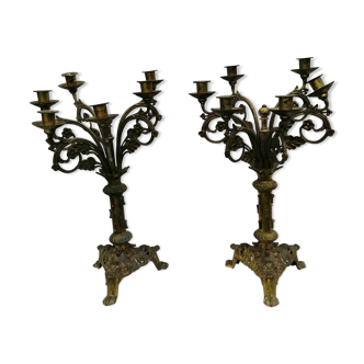 Pairs chandeliers in golden regulation