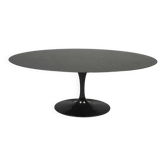 Table knoll Eero Saarinen ovale 198cm