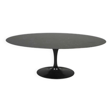 Table knoll Eero Saarinen ovale 198cm