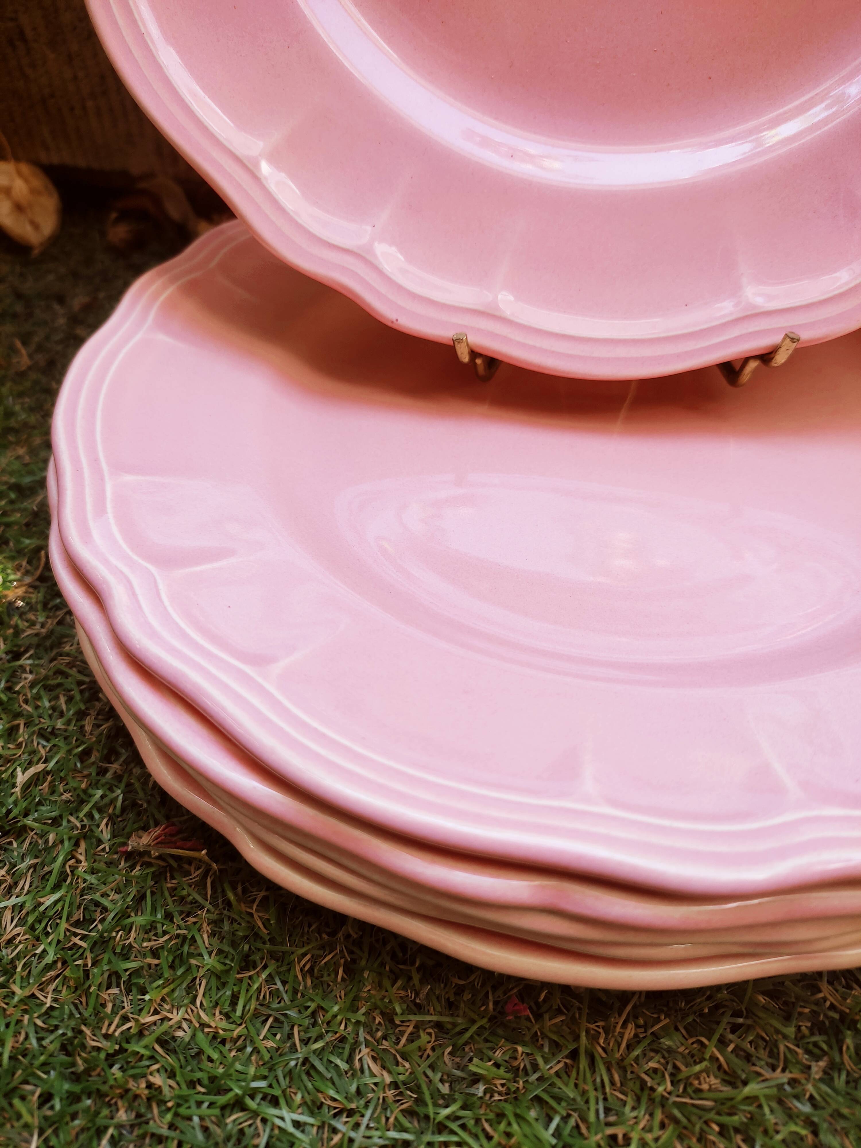 6 Salins plates in Provençal style earthenware