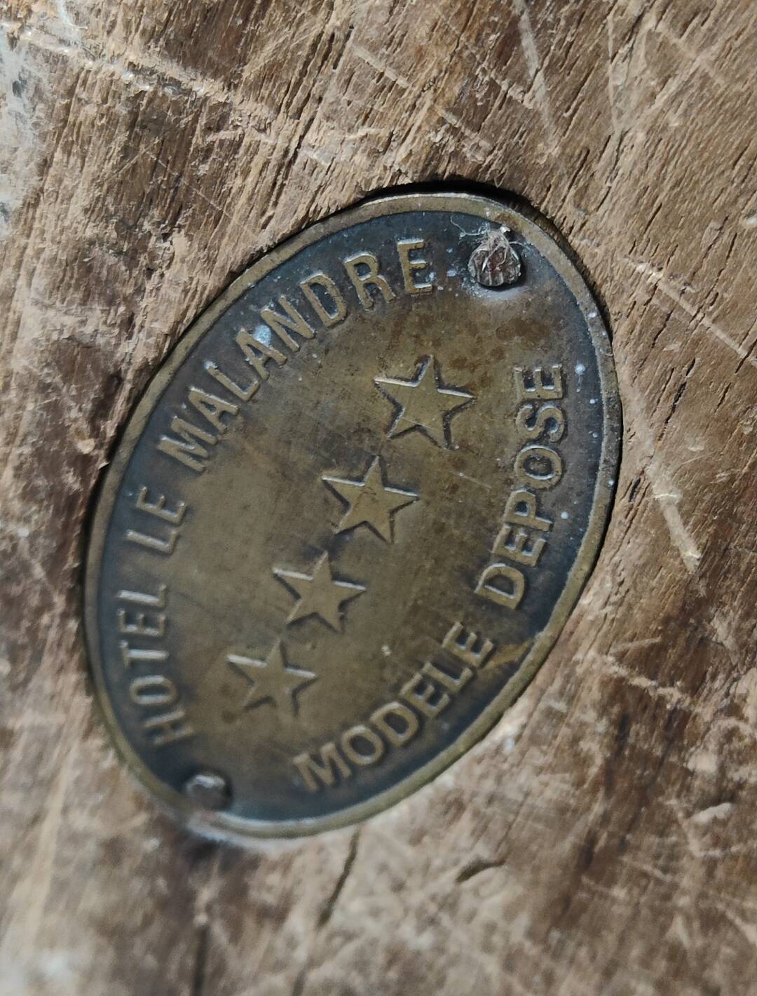 Pair of Art Deco armchairs 1930 "Le Malandre"