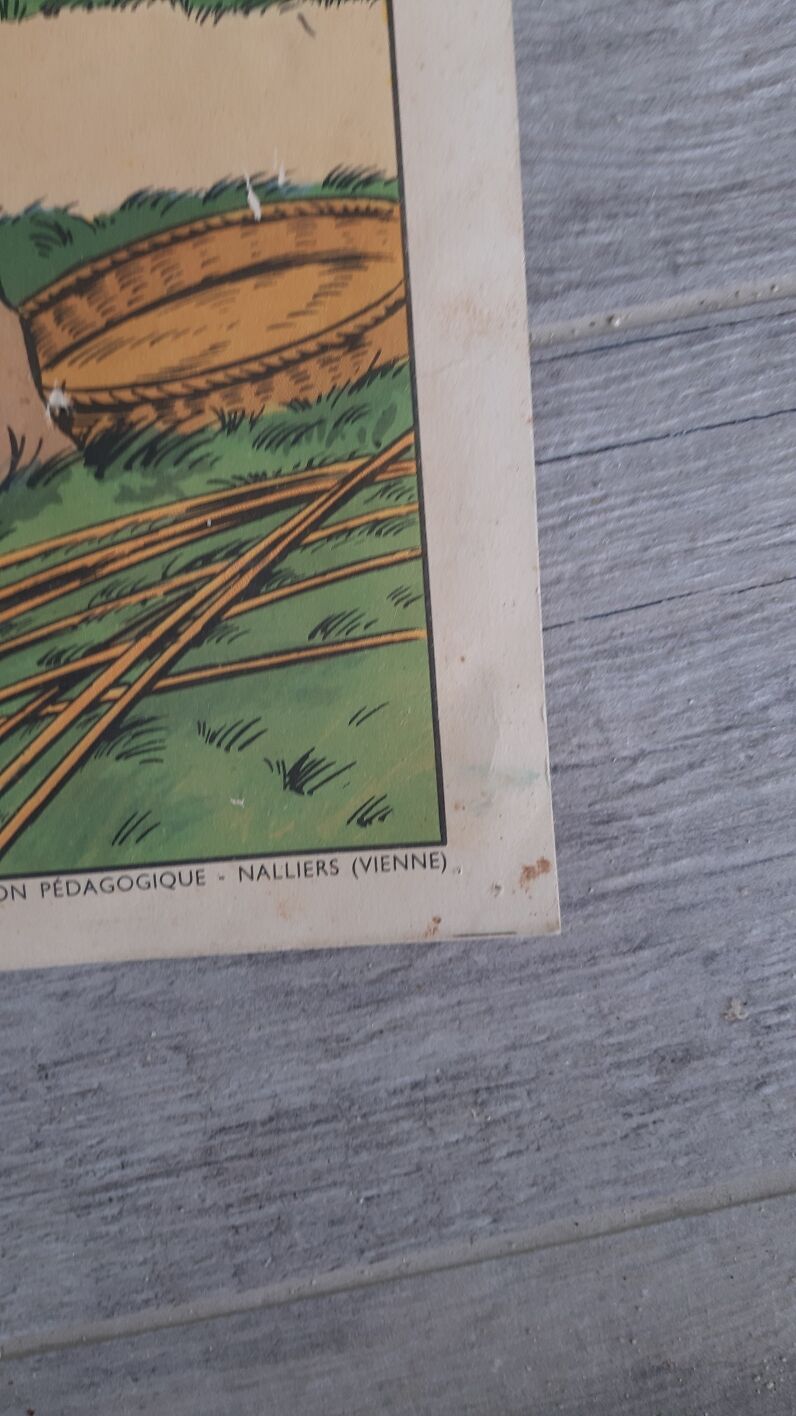 Educational school poster