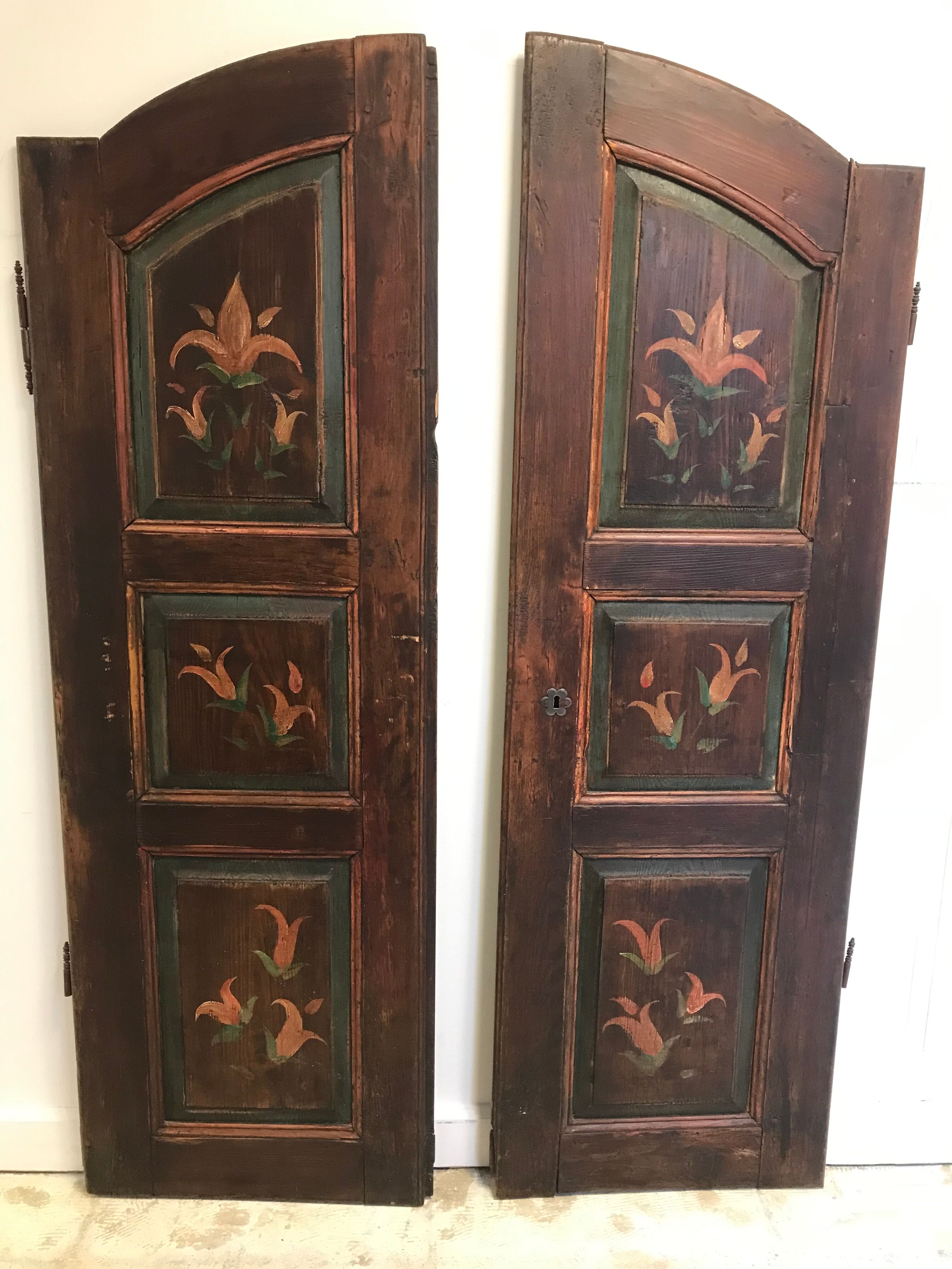 Old double door painted wood