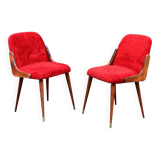 Pair of 1960s chairs in sheepskin and varnished wood