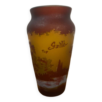 Galle Tip Acid Cleared Vase