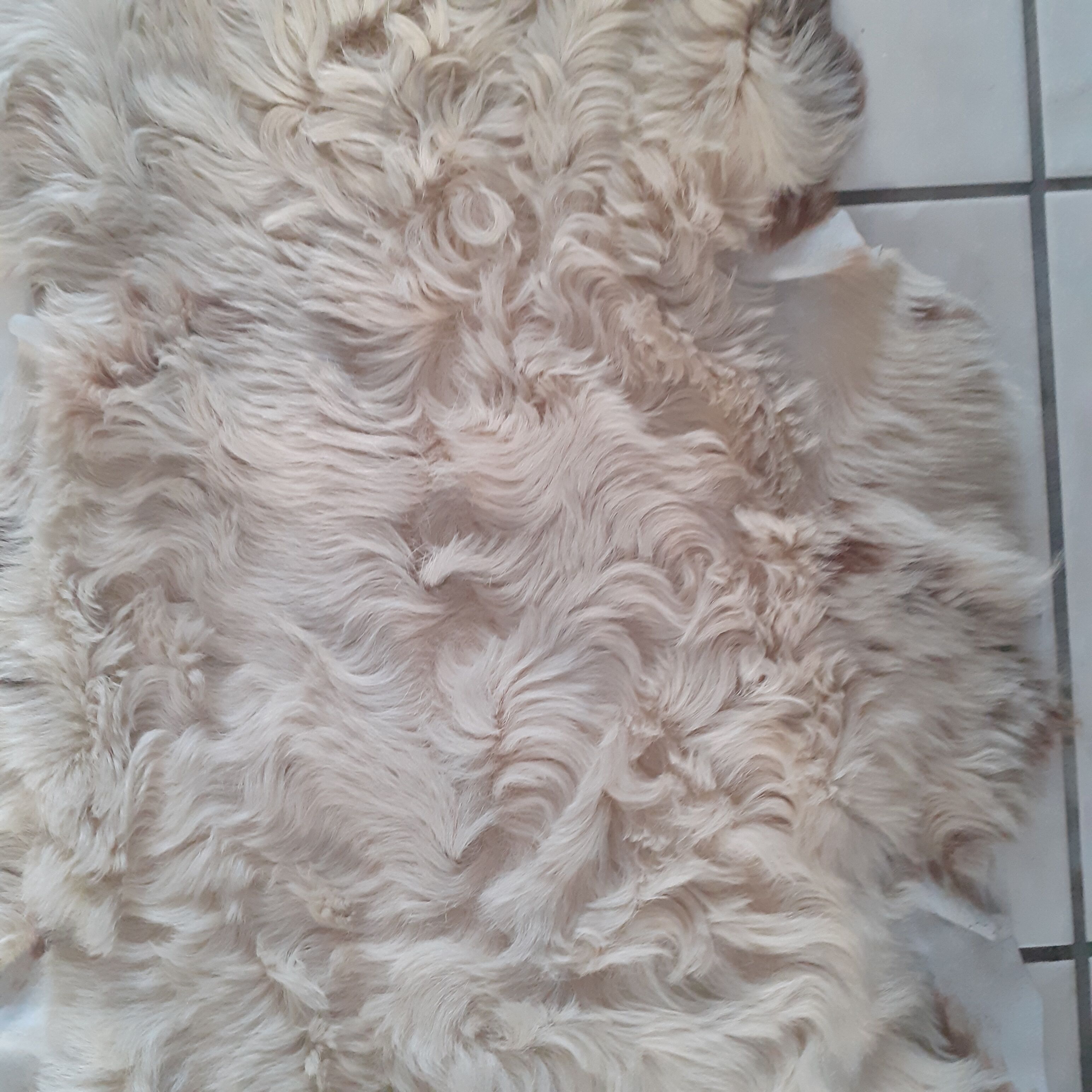 Peau de mouton