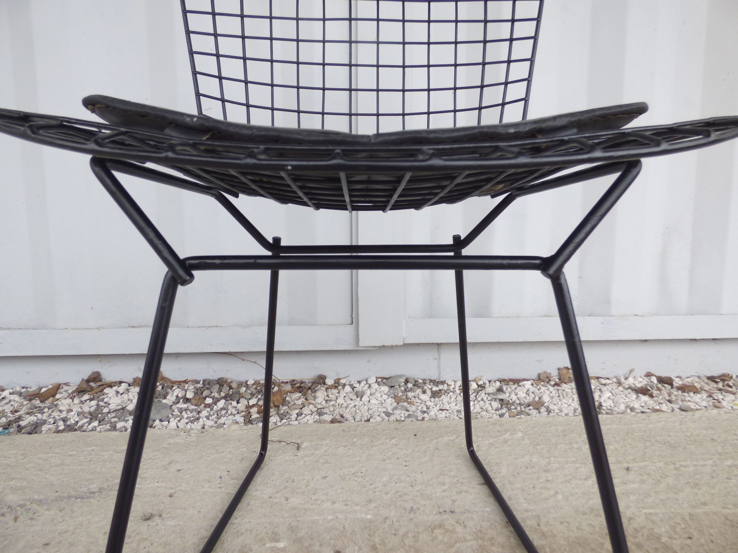 Black Bertoia Chair for Knoll International