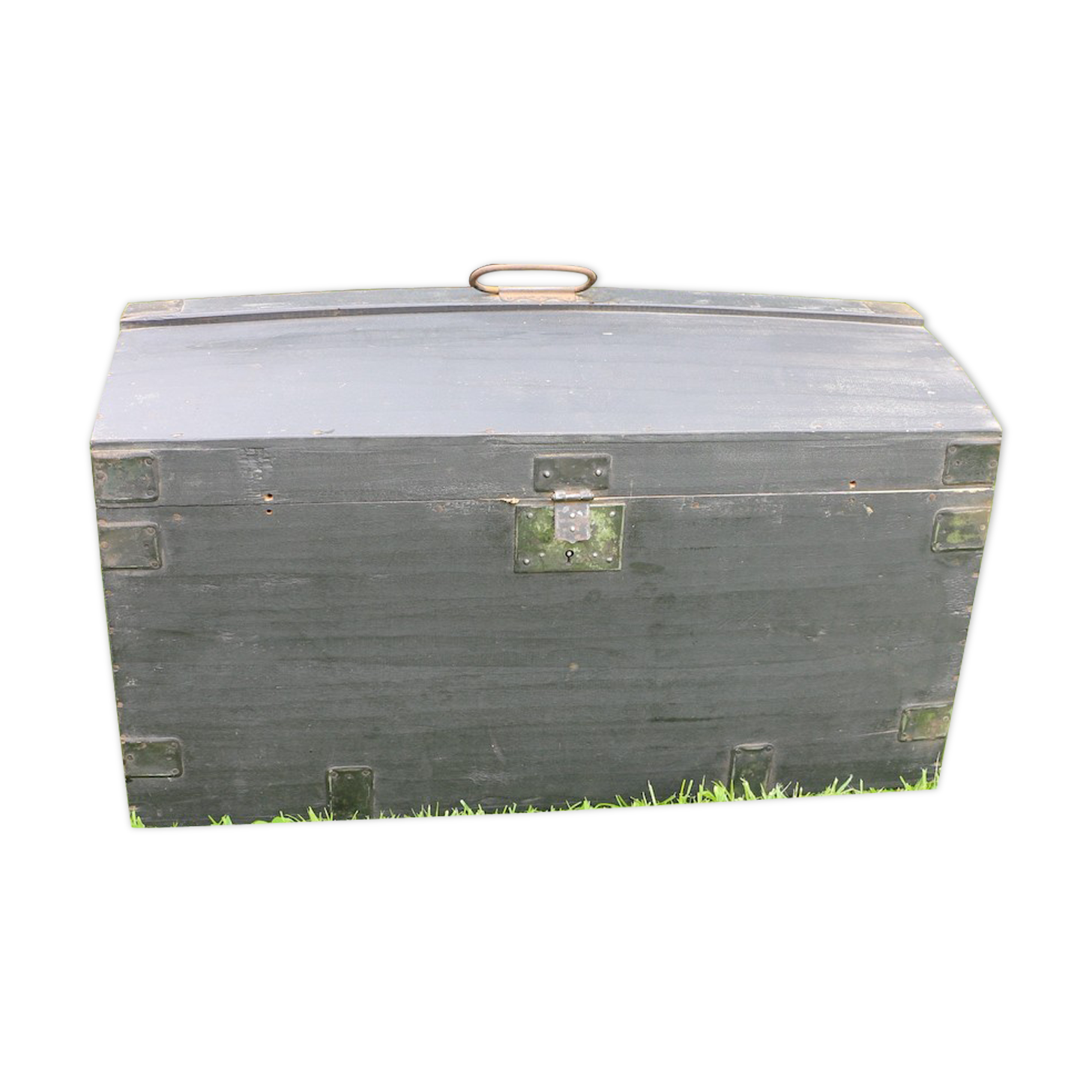 Small curved black trunk