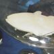 Set of 5 old plate in e emaille glass or hand-painted old fish decoration
