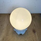 Vintage Porcelain Ceiling Light with Milk Glass , 1950s
