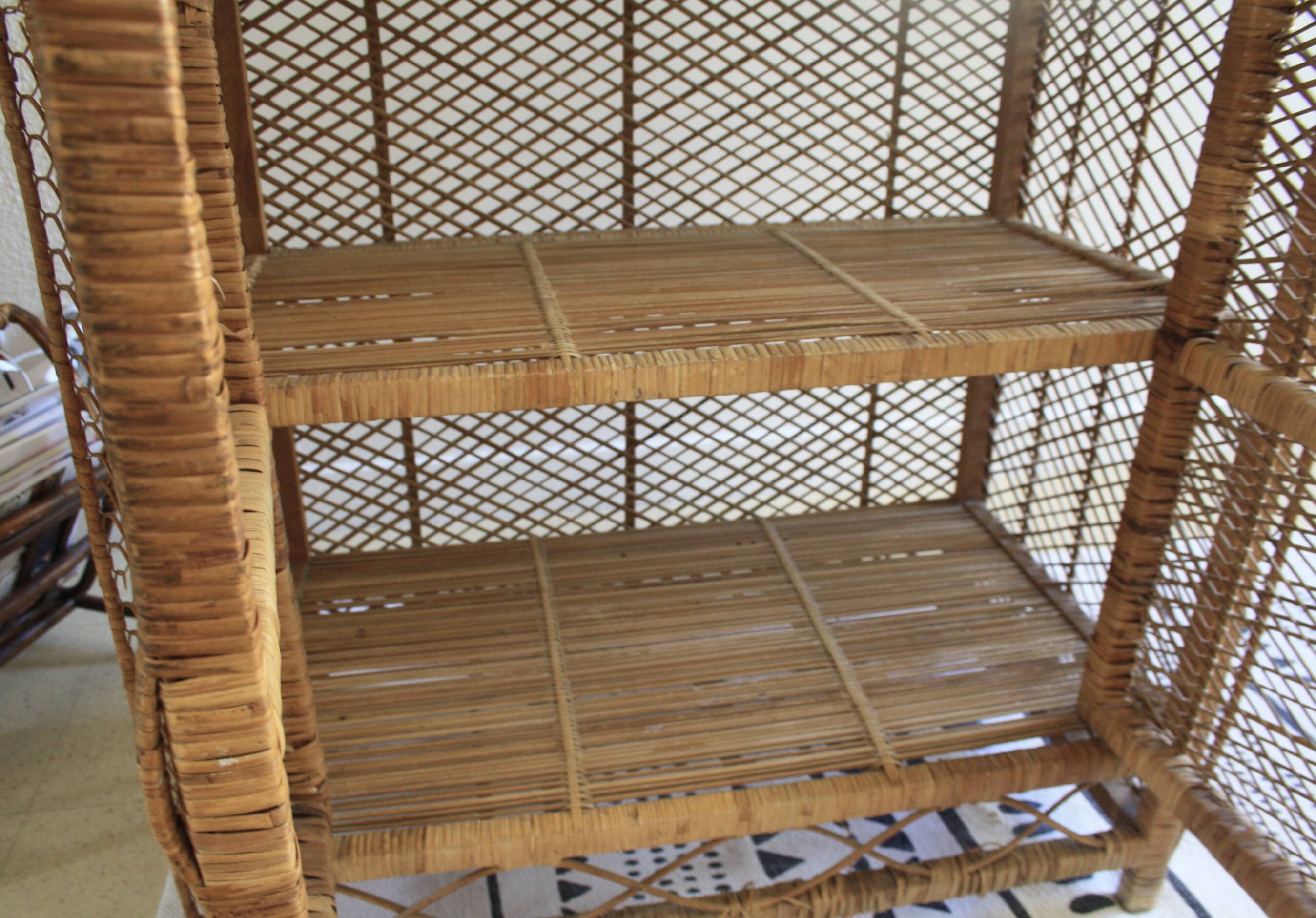 Rattan and woven wicker library