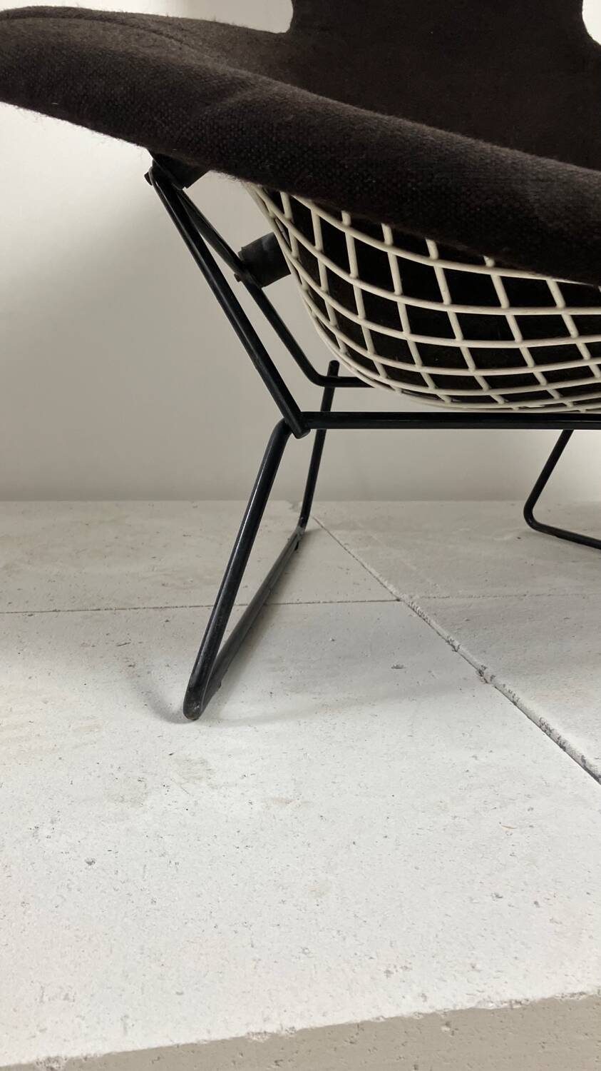 Model Bird armchair by Harry Bertoia for Knoll, 1970s