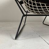 Bird Model Armchair by Harry Bertoia for Knoll, 1970s