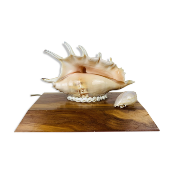 Vintage shell lamp with wooden base