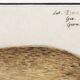 Small poster about the seal, based on an old engraving from 1610.