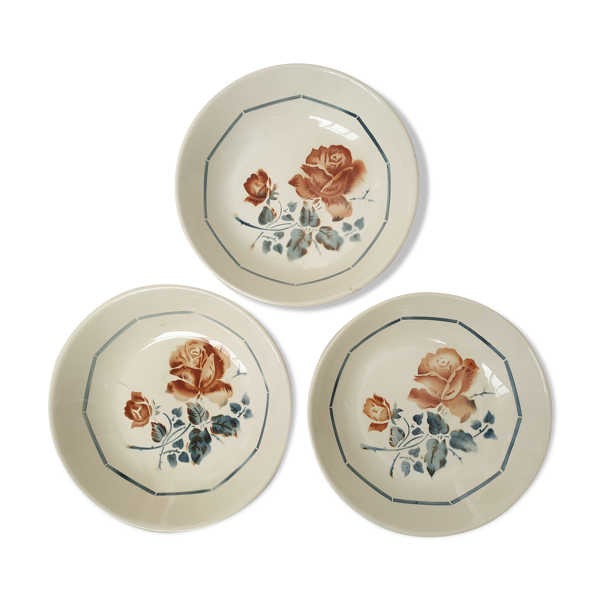 Assiettes creuses Digoin