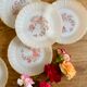 Lot de 6 assiettes à dessert vintage Termocrisa