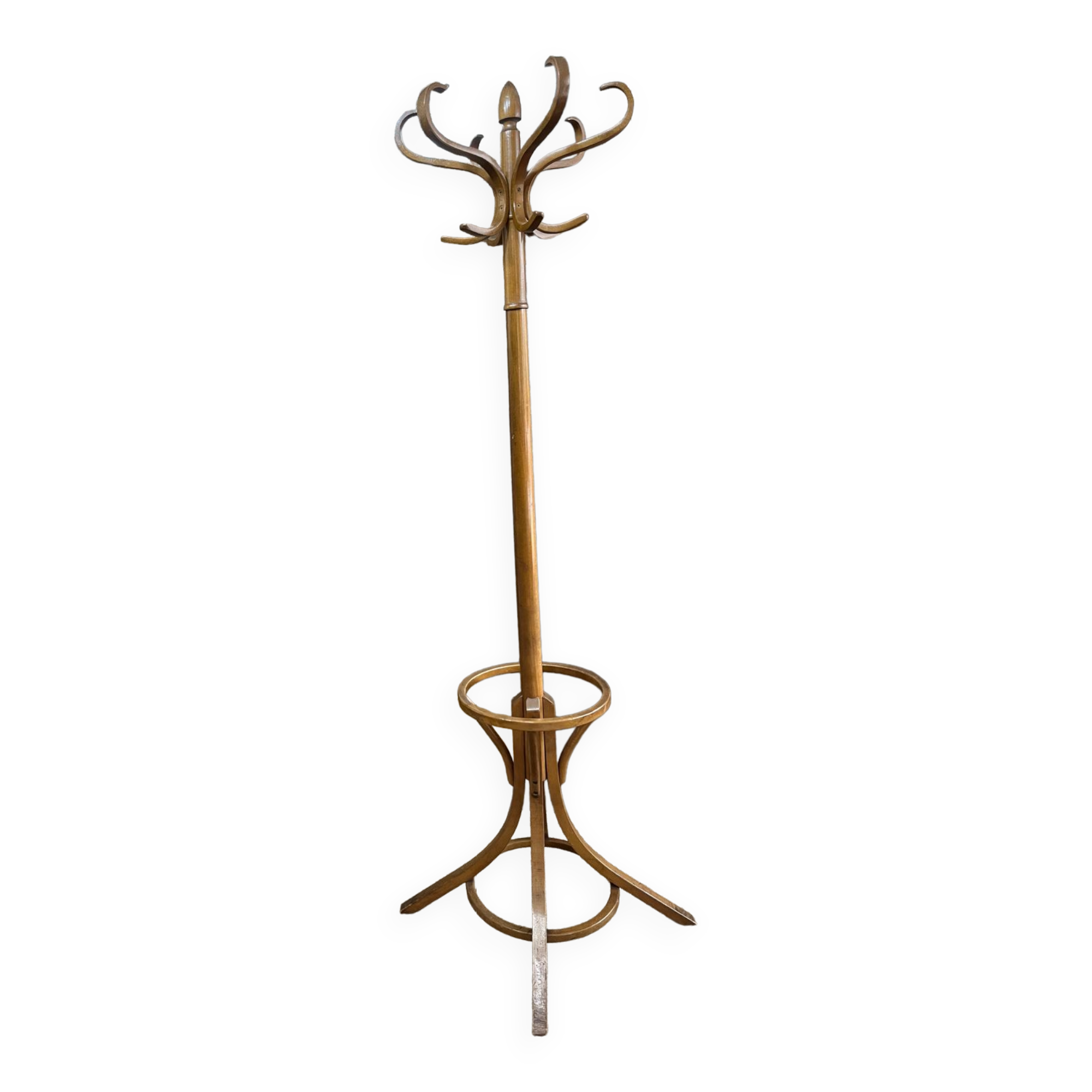 Porte manteau perroquet