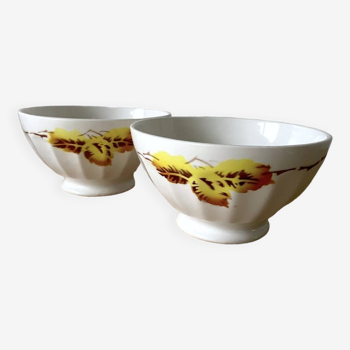 Ribbed Earthenware Bowls - Autumn Leaf Decor