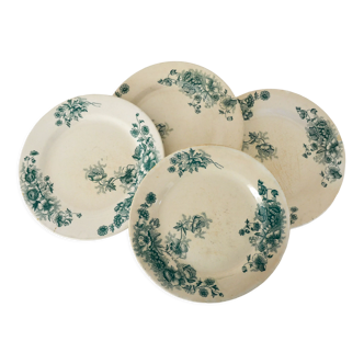 4 assiettes plates "Anémones" terre de fer