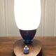 Design lamp 1950.
