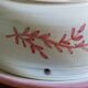 Vintage Ceramic Cheese Dome – Floral Branch Decor
