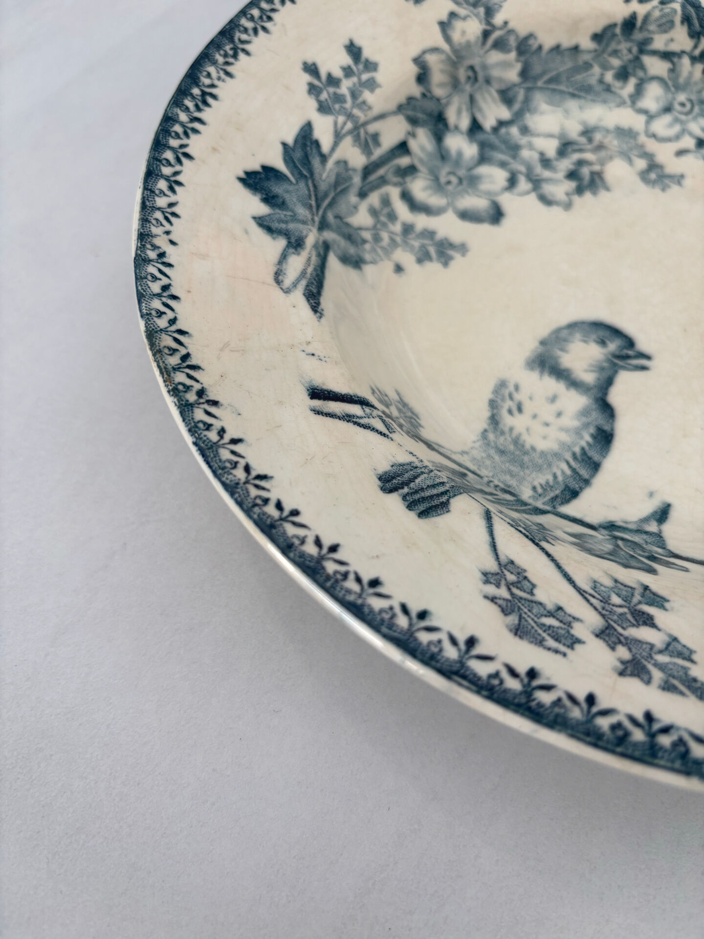 Assiette creuse longwy mesange terre de fer bleu - faïence ancienne fr