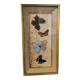 Cadre papillons vintage