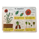 educational poster biology "The cherry" and "The poppy" 50s