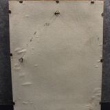 Botanical board framed PJ Dreaded