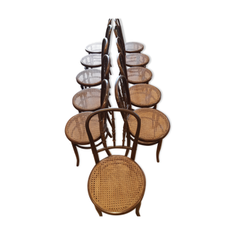 Fischel chairs set of 11
