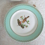 6 assiettes plates oiseaux
