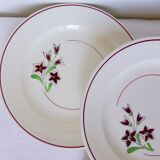 Set of 4 vintage porcelain dinner plates from the Salins factory